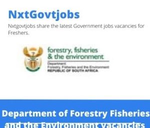 Department of Forestry Fisheries And The Environment Project Coordinator Vacancies 2022 Apply Online at @dffe.gov.za