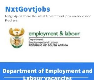 Department of Employment And Labour Registry Clerk Vacancies 2022 Apply Online at @labour.gov.za