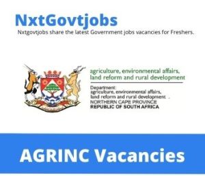 Agricultural Producer Support And Development Director vacancies in Northern Cape Department of Rural Development, Agrarian Reform – Deadline 04 Aug 2023
