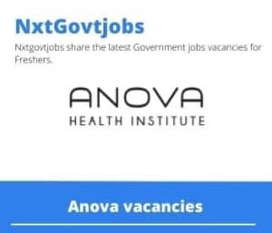 Anova Health Institute Monitoring Learning Evaluation Officer Vacancies in Kathu – Deadline 31 Jul 2023